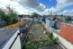 Garden at Back