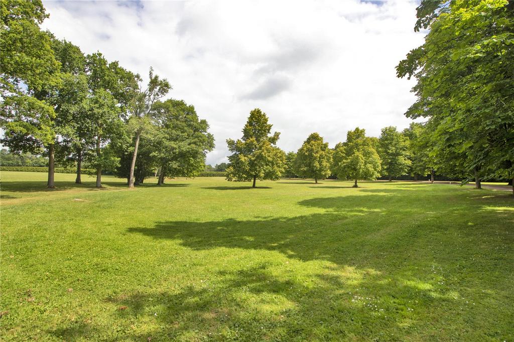 Grounds