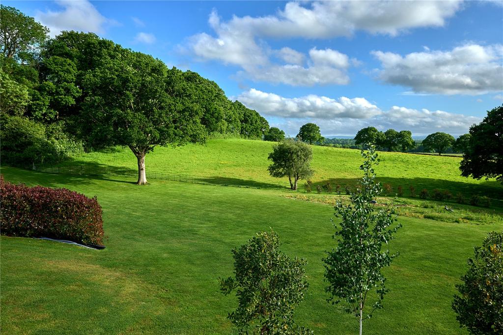 Grounds