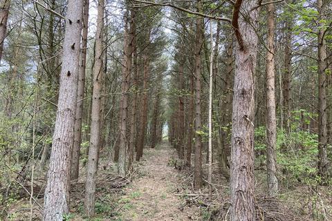 Land for sale, Holiday Lodge Plots at Wingate Woods (Part Of)
