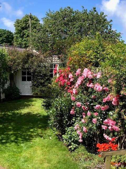 Garden flowers.jpg