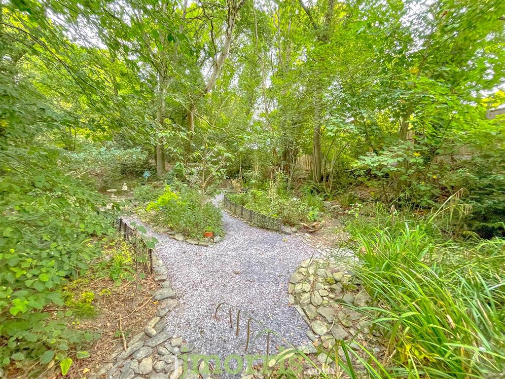 Woodland Garden