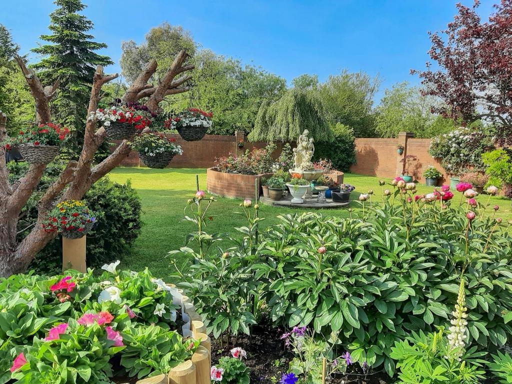 Front Garden in Summer