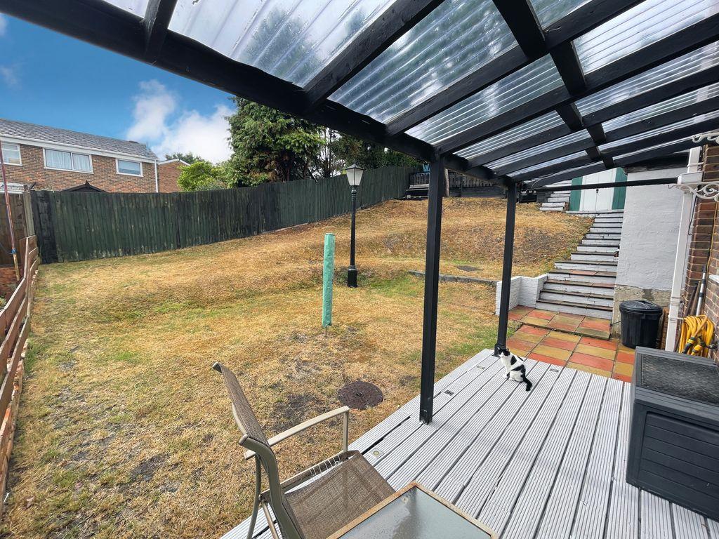 Garden at Back