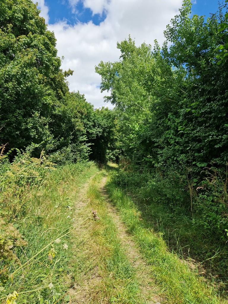 Clay Lane, Nr Lavenham Land £225,000