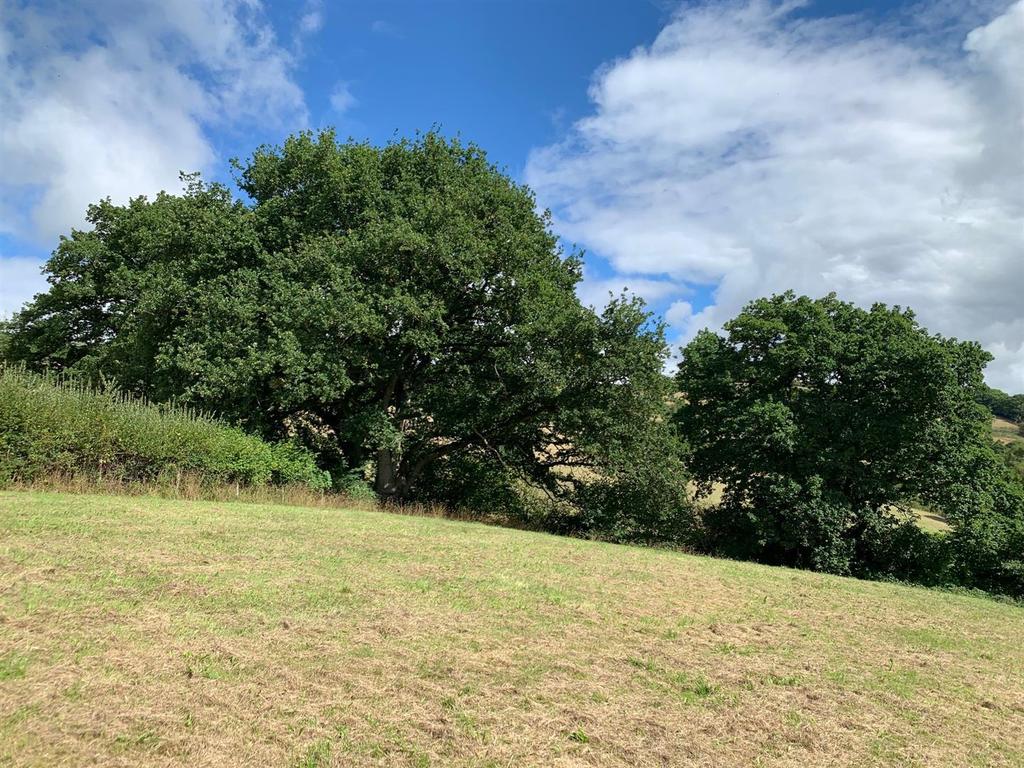 Whitestone, Exeter Land £45,000