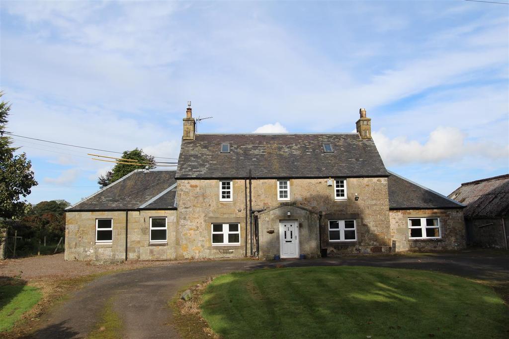 Front Ext
