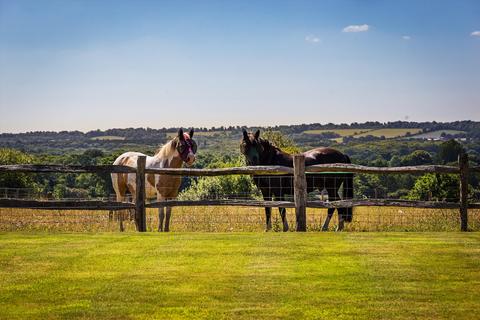 5 bedroom farm house for sale, Henley Park, Normandy, Guildford, Surrey, GU3