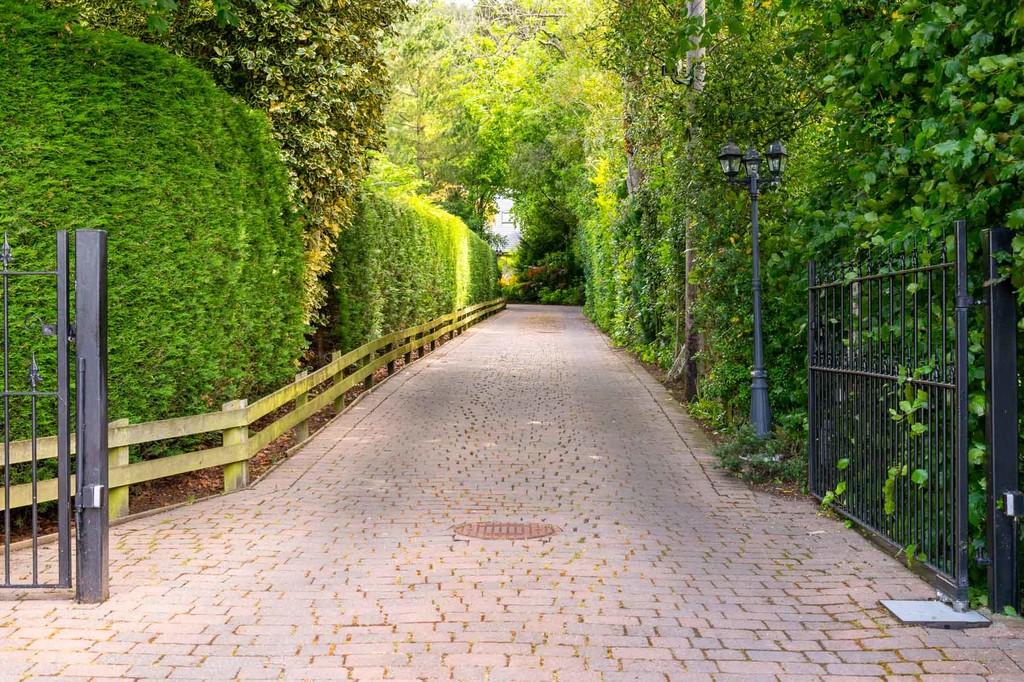 Driveway