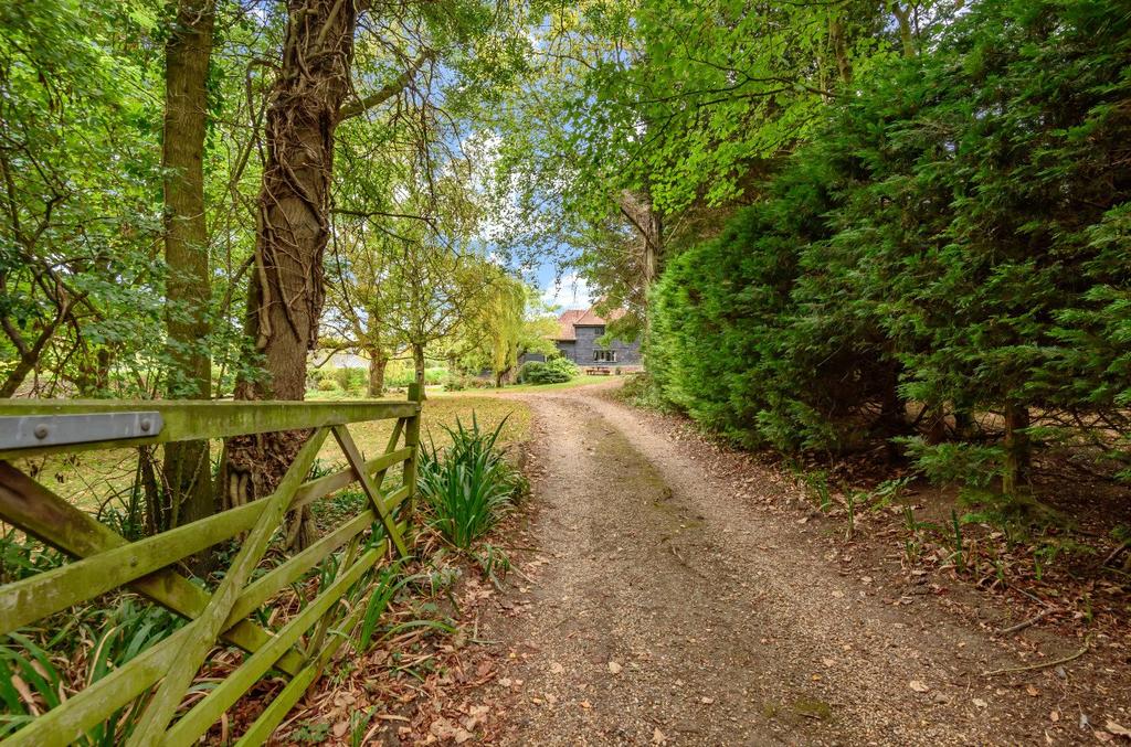 Driveway Approach