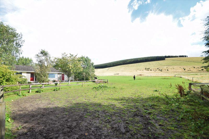 Paddock