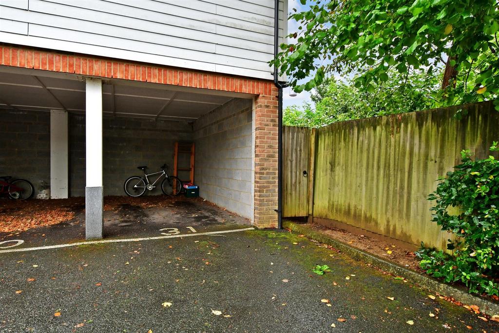 Driveway/Parking
