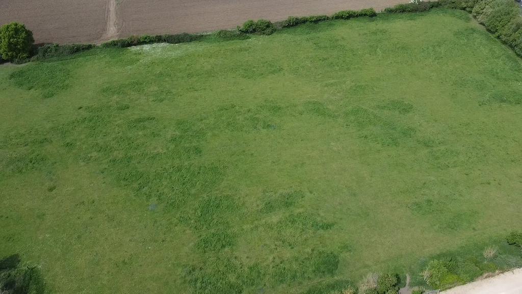 Ariel View