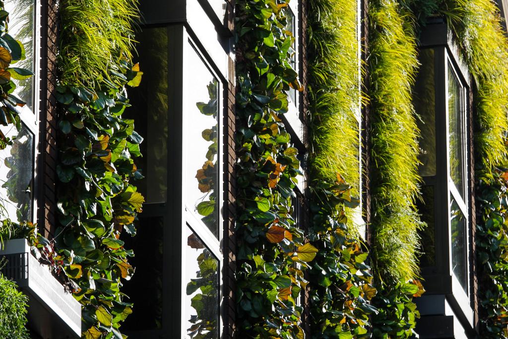 Green wall James Street SC building