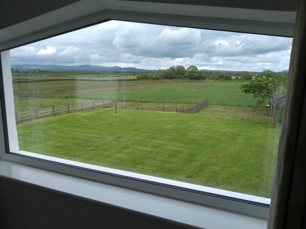 Views from Bedroom Window