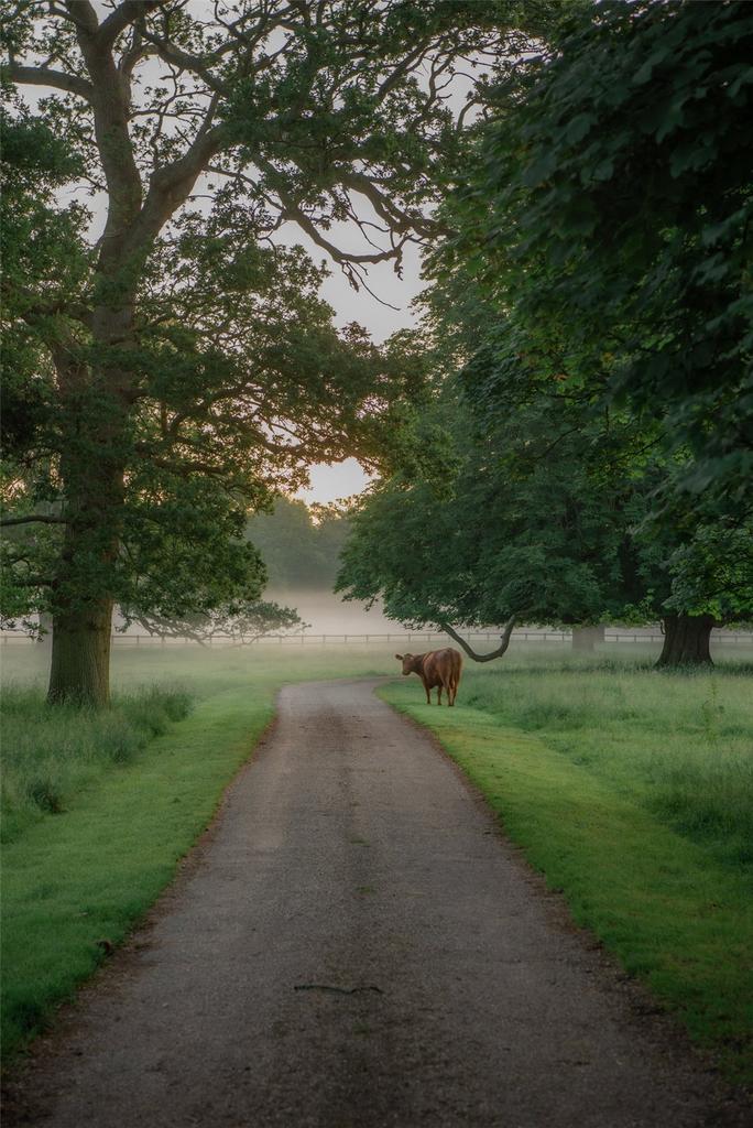 The Heydon Estate