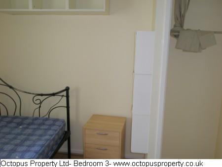 Picture 13