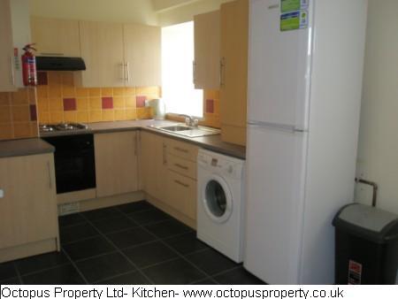 Picture 19