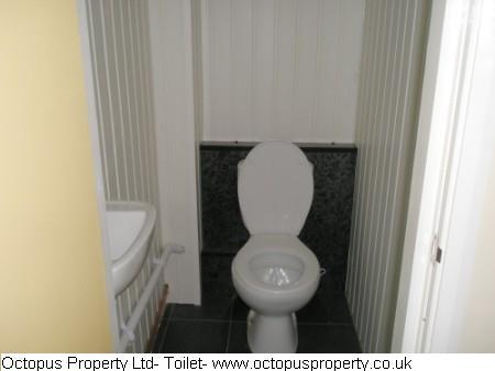 Picture 23