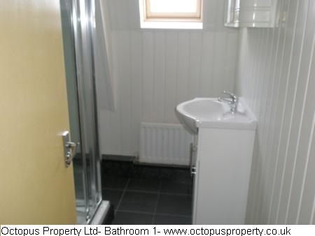 Picture 24