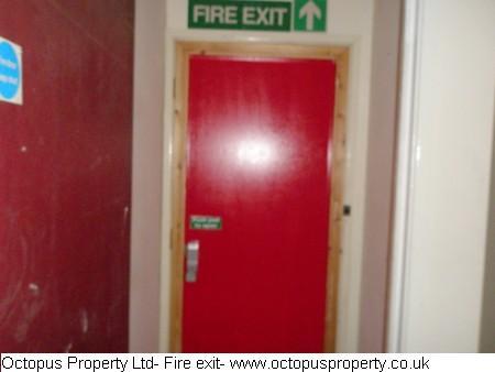 Picture 31