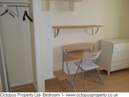 Picture 07
