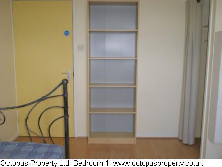 Picture 08