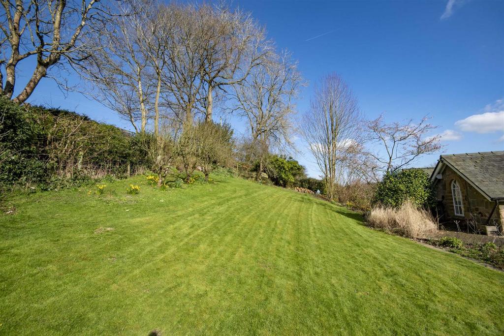 Rear Gardens