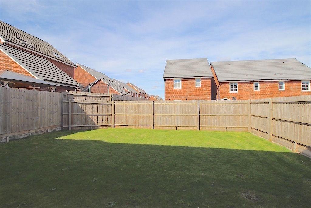 Garden at Back