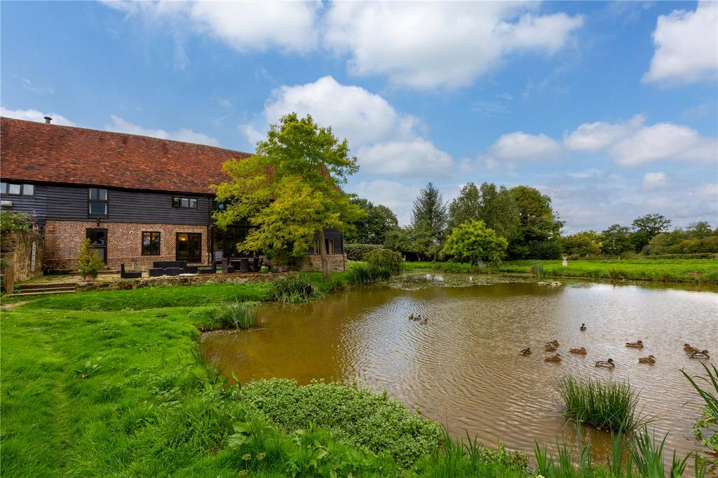 Pond