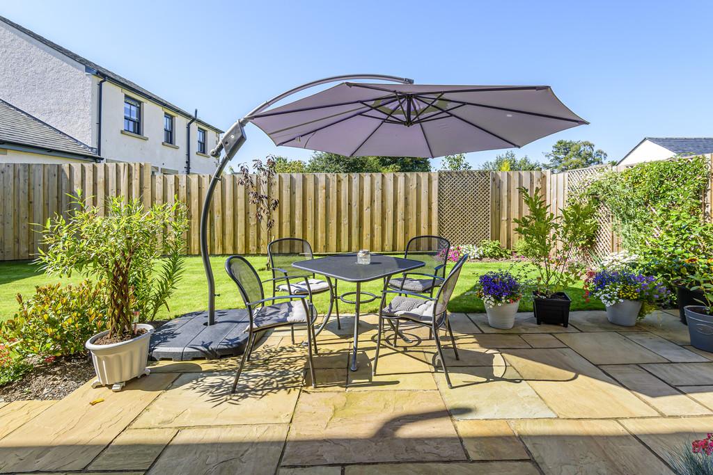 Patio Garden