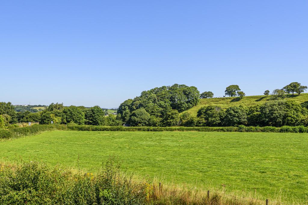Countryside Views