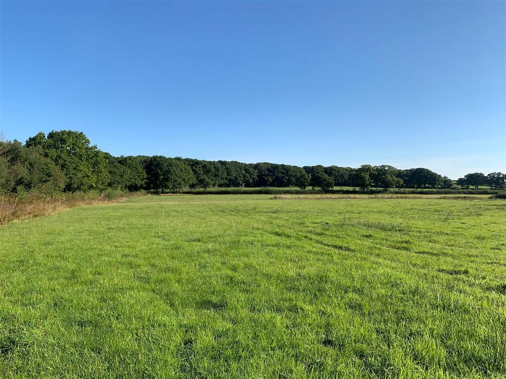 Exbourne, Okehampton Land for sale £70,000