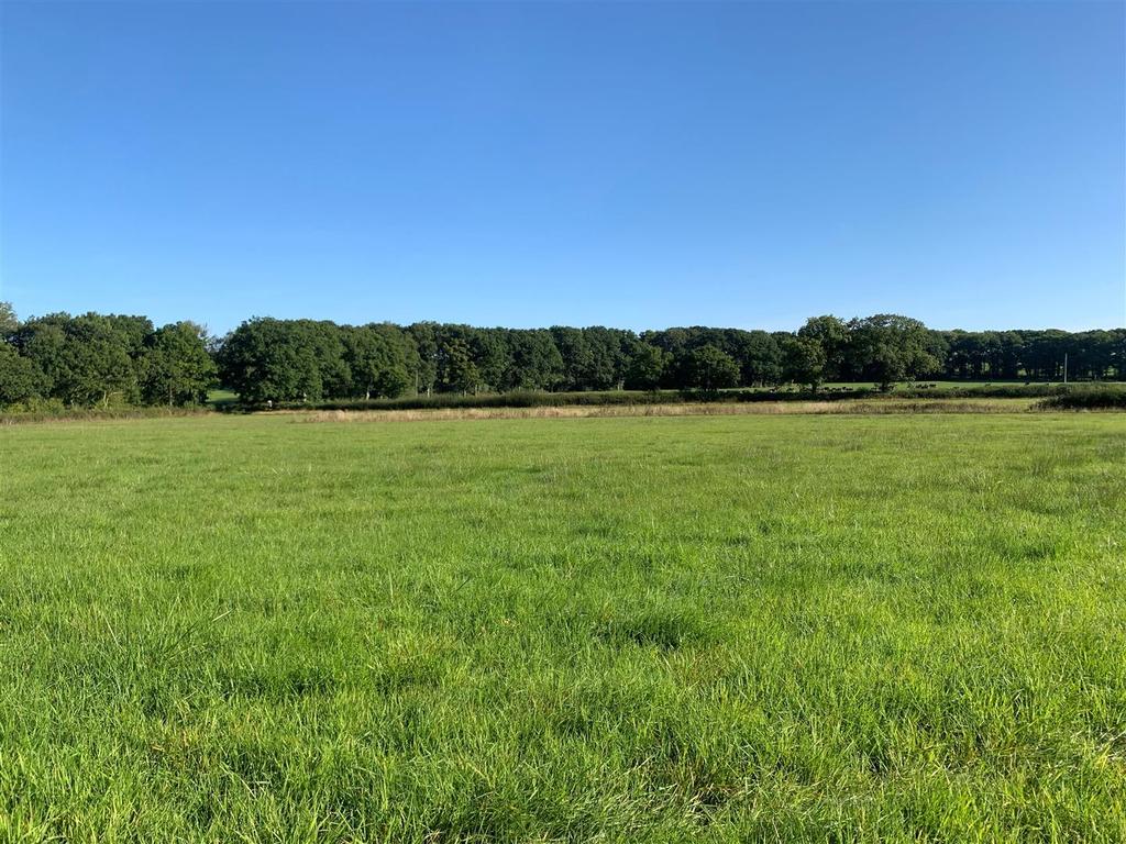 Exbourne, Okehampton Land £70,000
