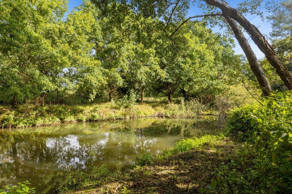 River Mole