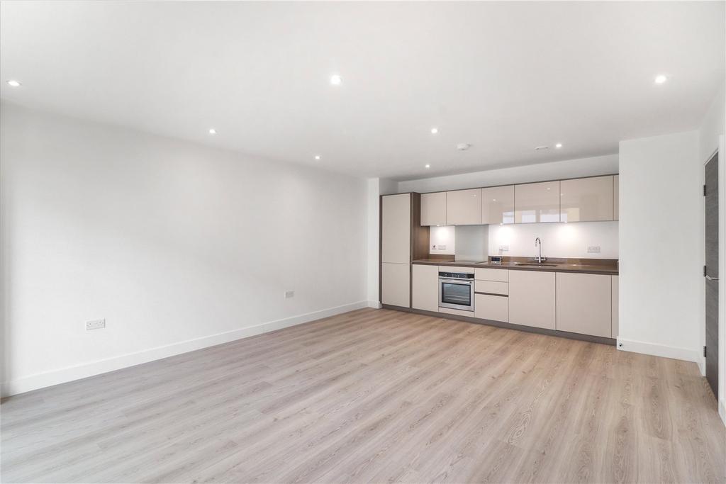 Kitchen/Living Area