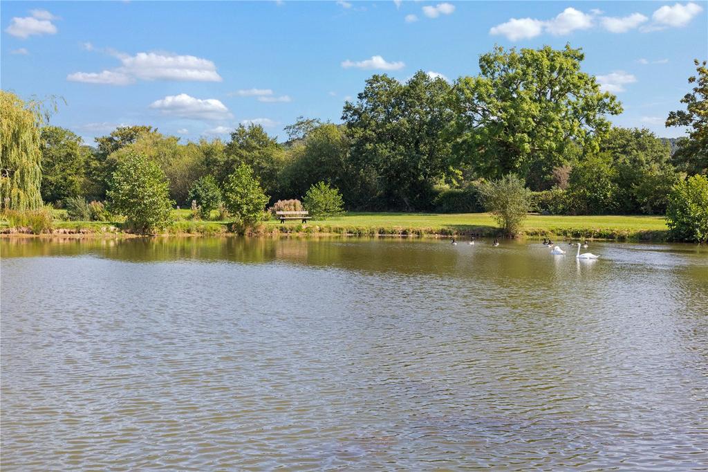 Fishing Pool