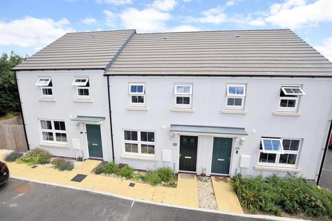 20 Carpenter Way, Tavistock, PL19 0FL