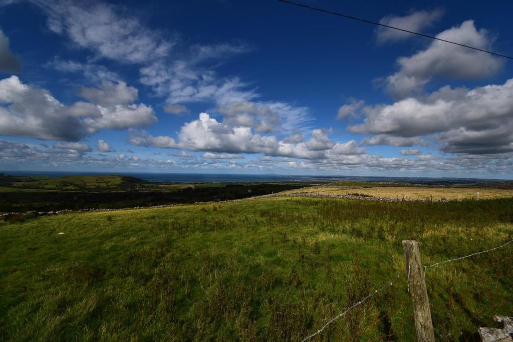 Dsc 9478.jpg