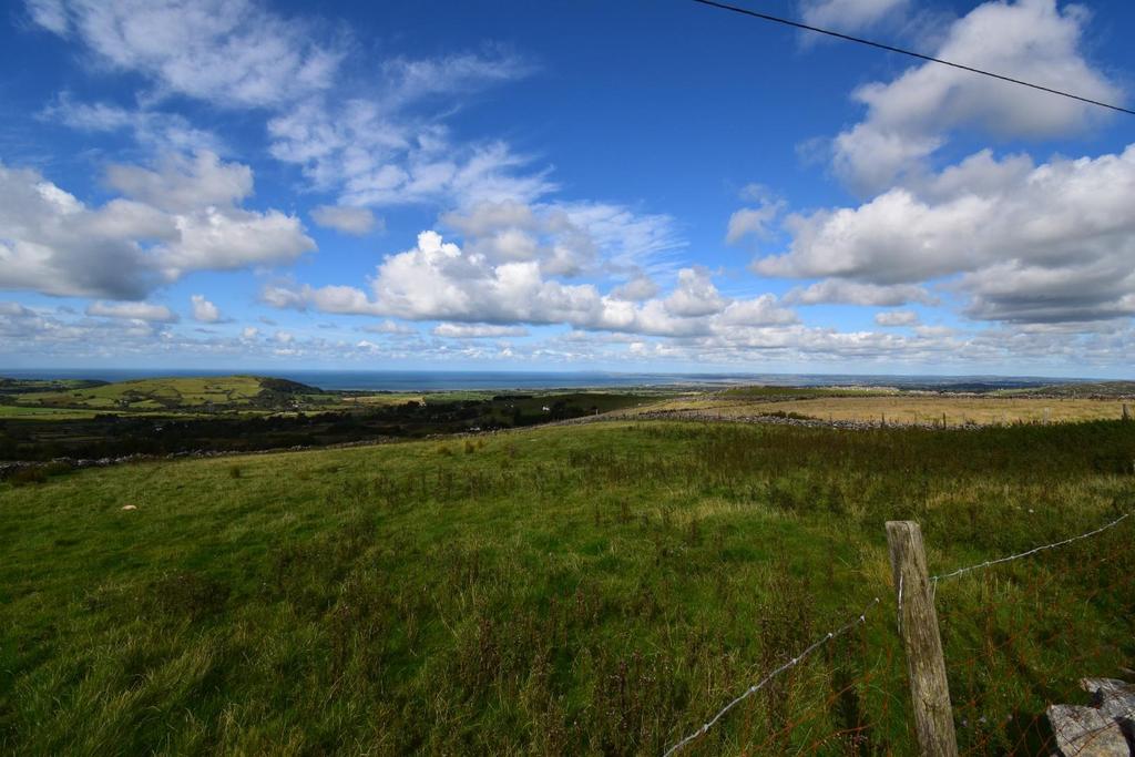Dsc 9479.jpg
