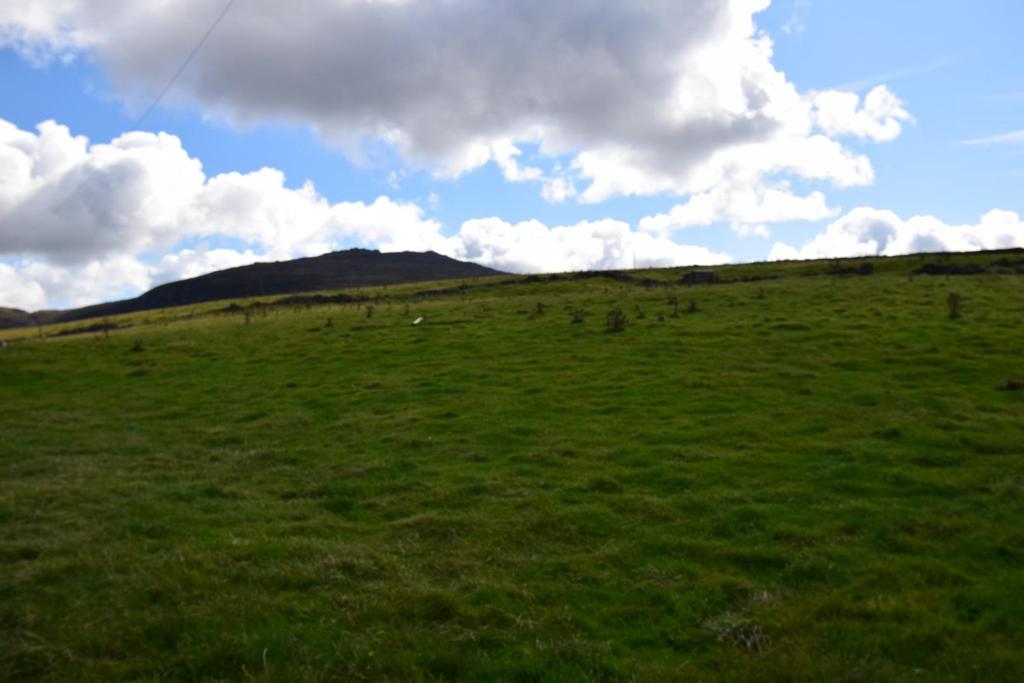 Dsc 9481.jpg
