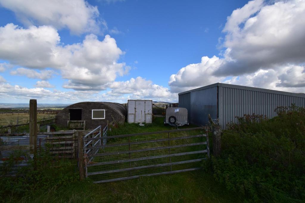 Dsc 9486.jpg
