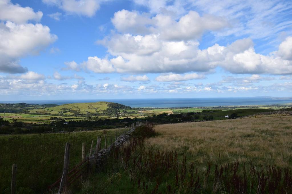 Dsc 9487.jpg