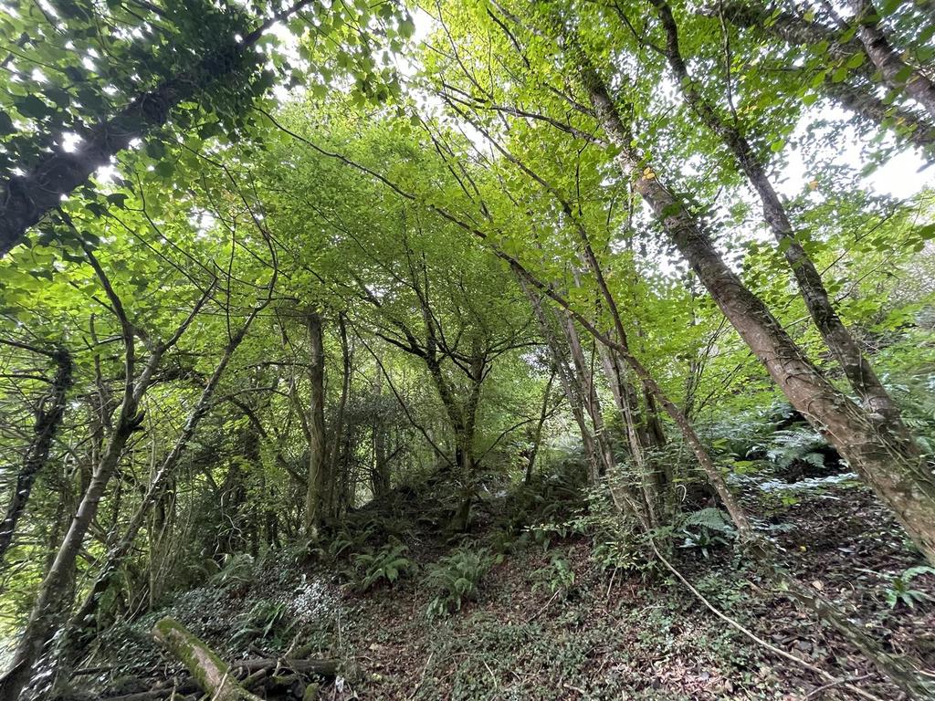 Img 2975.jpg