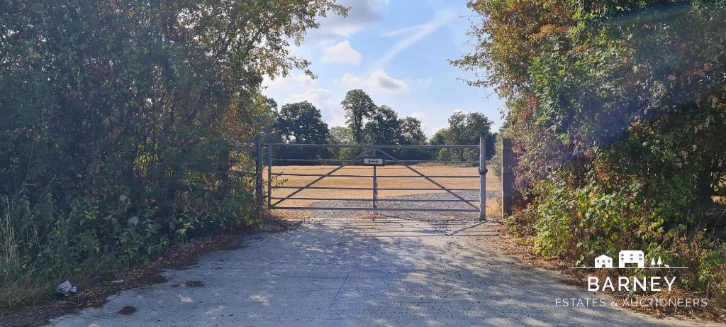 130351 essexrelaunchaa IMG 01 0000.jpeg