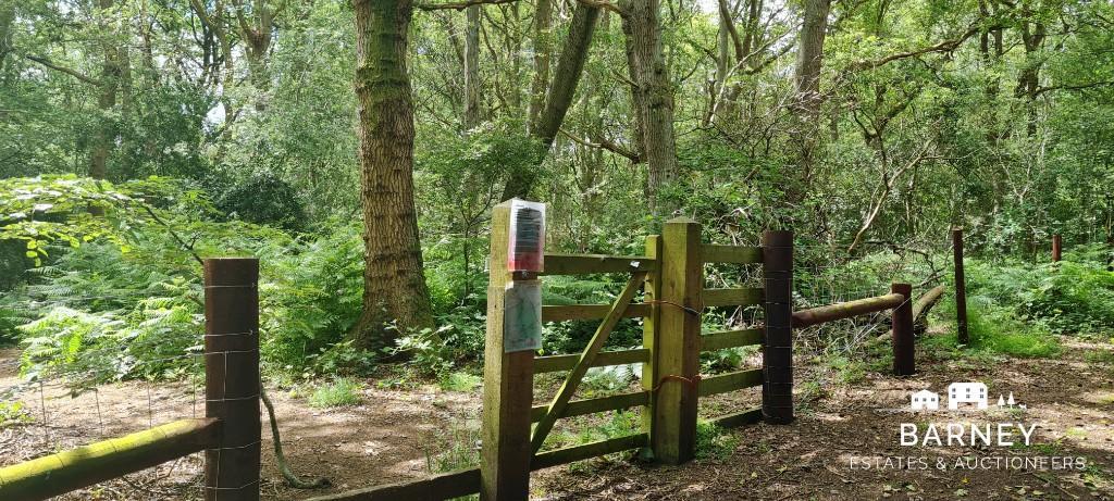 130351 littlebaddowrelaunchaa IMG 02 0000.jpeg