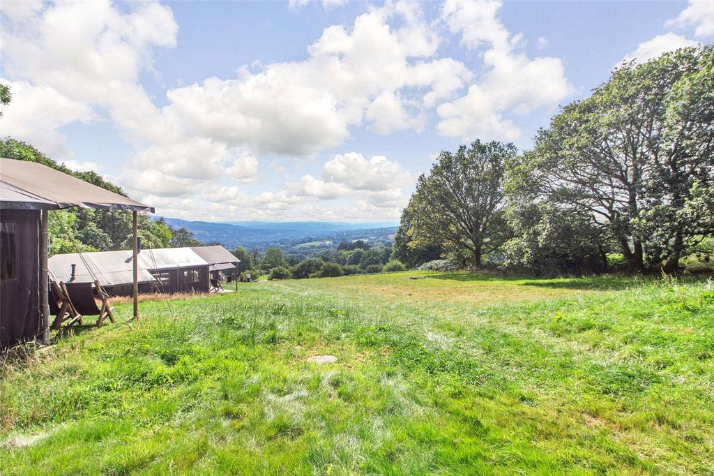 Safari Tent Field