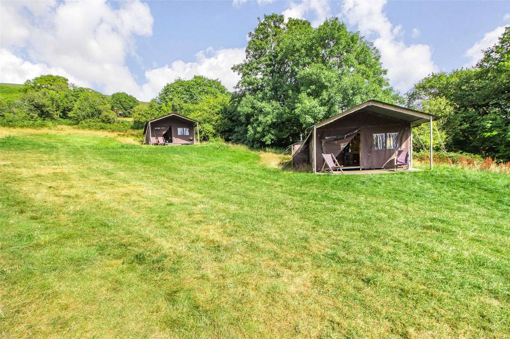 Safari Tent Field