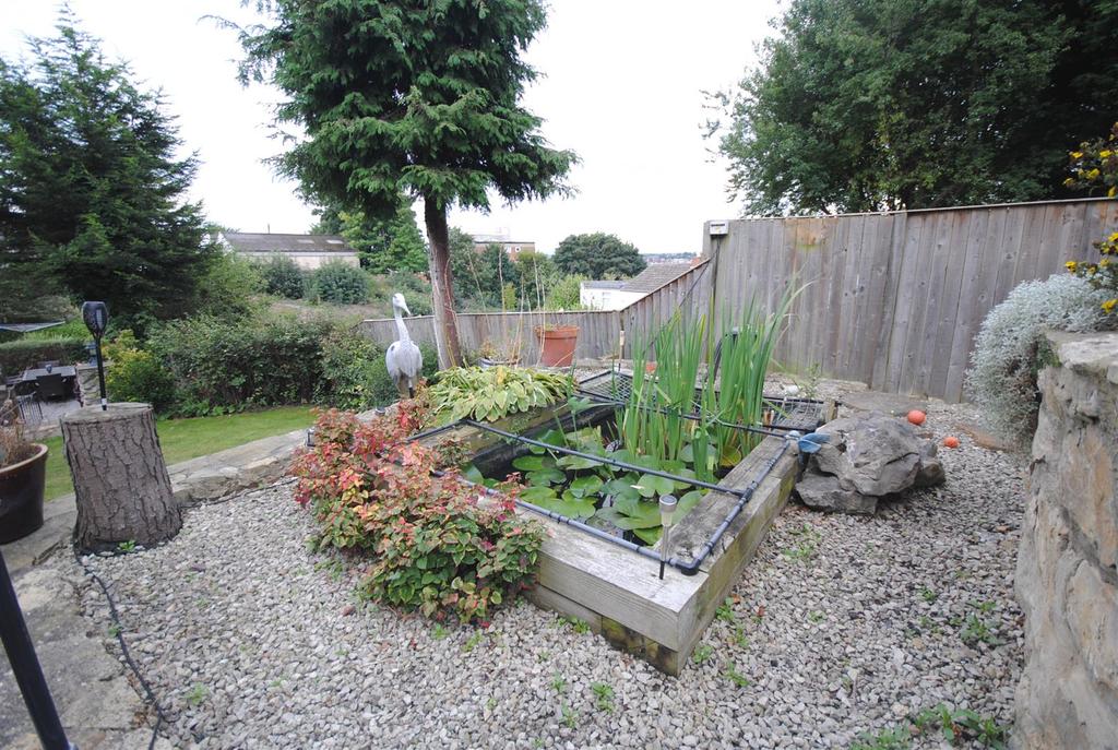4wellanepond.JPG