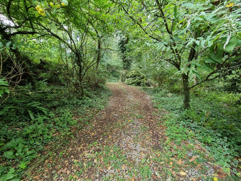 Driveway and grounds